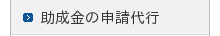̐\s